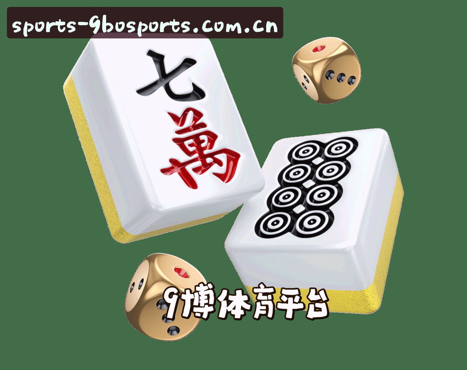 关于我们信息